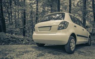 Weißes Auto in grüner Waldnaturlandschaft geparkt. foto