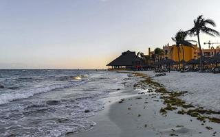 tropisch karibischer strand wasser algen sargazo playa del carmen mexiko. foto