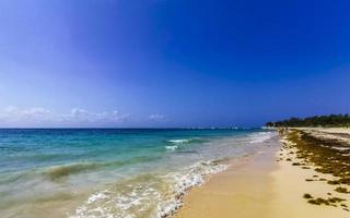 tropisch karibischer strand wasser algen sargazo playa del carmen mexiko. foto