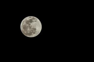 Vollmond in der Nacht foto