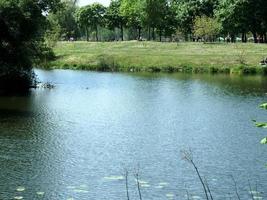 Sommerlandschaft des Flussufers mit grünen Bäumen, Hintergrund, Tapete foto