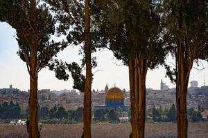 Blick auf Jerusalem durch die Bäume foto