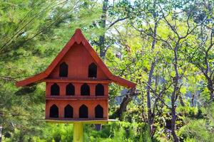 Das Taubenhaus ist aus Holz und auf einer Höhe platziert. in Java bekannt als pagupon foto