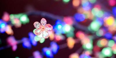 mehrfarbige lichter bokeh aus dekorativen leuchtenden blumengirlanden im urlaub, mehrfarbige lichter foto