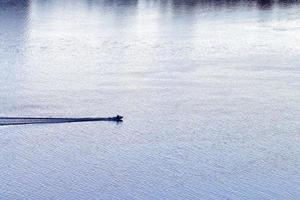 kleines Boot, das auf dem Fluss segelt foto