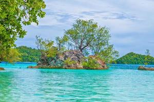 bild von kleinen grünen inseln in palau foto