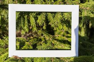 Ein leerer weißer Rahmen auf einem Hintergrund aus grünen Fichtenzweigen mit einem Platz zum Kopieren. Weihnachtsgrüße foto