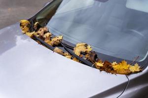 Gefallene gelbe Herbstblätter auf der Windschutzscheibe und Motorhaube des Autos, Herbstlaub, Transport foto