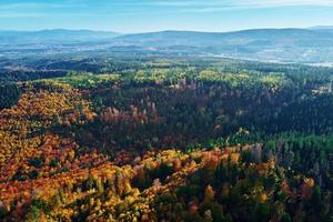 luftaufnahme der mit herbstwald bedeckten berge foto