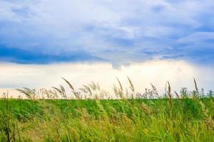 grüne feldlandschaft mit blauem himmel und stürmischen wolken. foto