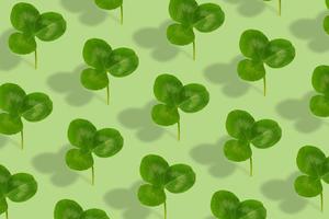Kleeblattmuster auf grünem Hintergrund. abstrakter hintergrund für st. Patricks Tag foto