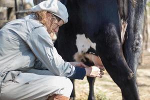 ländliche berufstätige Frau beim Melken der Kühe foto