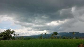 Reisfeld-Landschaftsansicht in Magelang Indonesien foto