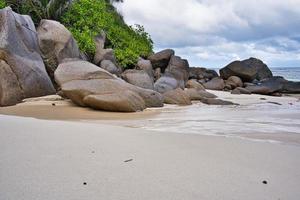 Wunderschöner Strand mit Kokospalmen in Ufernähe, Felsbrocken und klarem Himmel foto