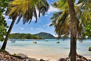 schöne aussicht auf andockboote und insel zwischen kokospalmen foto