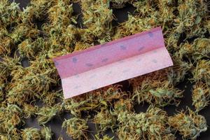 gemeinsames Rollenpapier auf Draufsicht des Hanfknospenhintergrundes. Rauchen von Marihuana-Zubehör-Konzept. kommerzielles Unkrautgeschäft foto