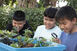 Gruppe junger asiatischer Jungen hält Lupe und Topfpflanzen und schaut durch die Linse, um Pflanzenarten zu studieren und Projektarbeit zu machen, Lernkonzept im Klassenzimmer im Freien, weicher und selektiver Fokus. foto