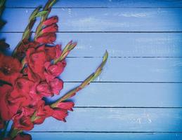 Strauß roter Gladiolen auf blauem Holzhintergrund foto