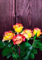 Strauß blühender gelber Rosen mit grünen Blättern foto