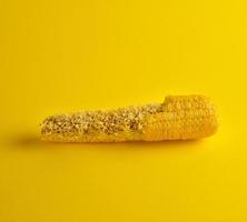gekochter Maiskolben wird gebissen und liegt auf einem gelben Hintergrund foto