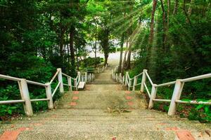 Treppen im Wald foto