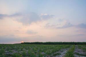 Landschaft in Thailand foto