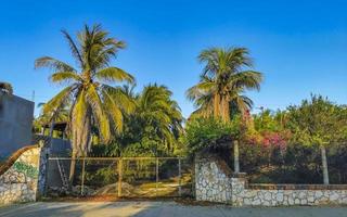 malerische aussicht touristenstraße palmenstadt zicatela puerto escondido mexiko. foto