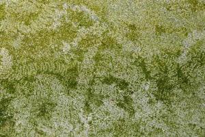 grüner Wandhintergrund, Kalkmörtel foto