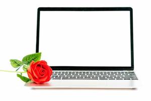 Rote Rose auf Laptop auf Weiß foto