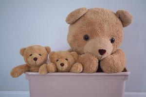 braune Teddybärengruppe steckt den Kopf aus der Plastikbox. kinderspielkonzept foto