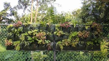 Vertikale Gartentasche oder Wandpflanztasche für Wandbepflanzung, Zaun oder jede andere Vertikale. foto