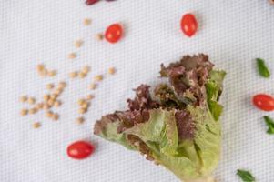 Nahaufnahme von Salat und Tomaten auf weißem Hintergrund