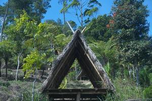 ein traditionelles haus aus indonesien auf einem berg umgeben von bäumen in der wildnis foto