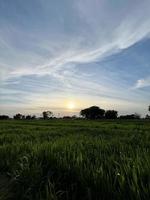 schöne ländliche Landschaft mit schönem Farbverlauf am Abendhimmel bei Sonnenuntergang. grüne Wiese und Dorf foto