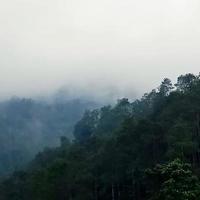 Blick auf eine Bergtour im zentralen Java-Jar-Gebiet mit Hängematte foto