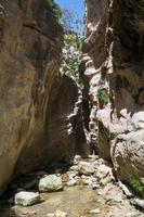 Avakas-Schlucht. schöne schlucht in zypern. foto