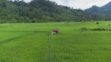 Erhöhte Ansicht der Reisfeldhütte foto