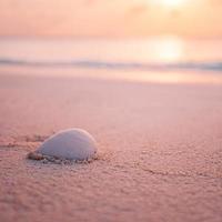 Künstlerischer Blick auf den Strand, weiße Muschel mit verschwommenem Meer und friedlicher Natur. erstaunliche entspannende naturlandschaft, ruhige sommerküste. helle Strandkulisse, herrliche Sommerstimmung foto