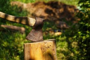 Die Axt steckt in einem Holzstumpf im Wald. foto