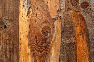 Holzwand Textur foto