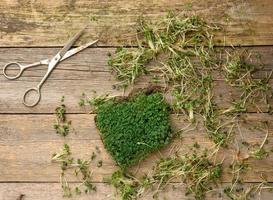 Grüne Sprossen aus Chia, Rucola und Senf auf einem Tisch aus grauen Holzbrettern foto