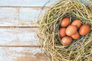frische rohe Eier vom Bauernhof foto