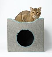graues quadratisches Textilhaus zum Schlafen und Ausruhen für eine Katze auf weißem Hintergrund. foto