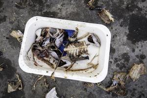 getrockneter Fisch im Müll foto