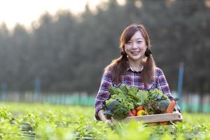 Die asiatische Bäuerin trägt das Holztablett voller frisch gepflückter Bio-Gemüse in ihrem Garten für die Erntezeit und ein gesundes Ernährungskonzept foto
