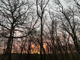 Sonnenaufgang auf dem Land am frühen Morgen 2 foto