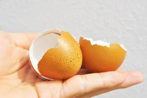 perfekt schöne Eierschalen in Ihrer Hand. foto