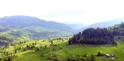 Europäische Naturlandschaft foto