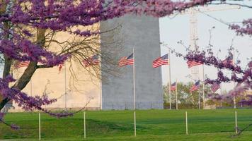 Washington gegen Seattle foto