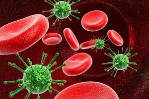 Blutkörperchen mit Virus foto